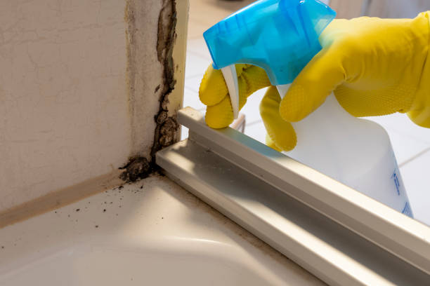 Best Industrial Mold Remediation in Baxley, GA